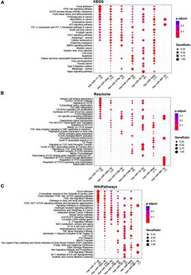 Immunomodulatory potential of secretome from cartilage cells and mesenchymal stromal cells in an arthritic context: From predictive fiction toward reality